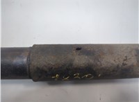  Амортизатор подвески Dodge Caravan 2000-2007 21159548 #1