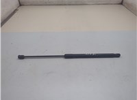 904511AB1A Амортизатор крышки багажника Nissan Murano 2008-2015 21159570 #1