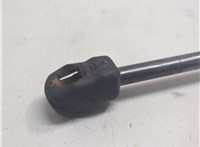 904511AB1A Амортизатор крышки багажника Nissan Murano 2008-2015 21159570 #4