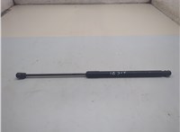904501AB1A Амортизатор крышки багажника Nissan Murano 2008-2015 21159579 #1