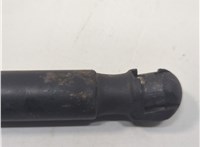 904501AB1A Амортизатор крышки багажника Nissan Murano 2008-2015 21159579 #2