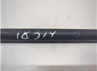 904501AB1A Амортизатор крышки багажника Nissan Murano 2008-2015 21159579 #3