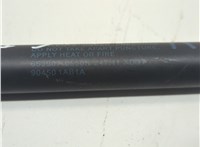 904501AB1A Амортизатор крышки багажника Nissan Murano 2008-2015 21159579 #4