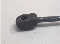 904501AB1A Амортизатор крышки багажника Nissan Murano 2008-2015 21159579 #5