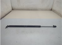  Амортизатор крышки багажника Dodge Caravan 2000-2007 21159671 #1