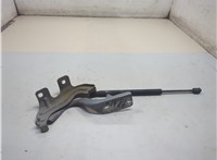 654011AA9A Петля капота Nissan Murano 2008-2015 21159689 #1