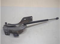 654011AA9A Петля капота Nissan Murano 2008-2015 21159689 #3