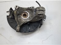  Ступица (кулак, цапфа) Volkswagen Passat CC 2008-2012 21160873 #2