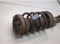  Амортизатор подвески BMW X5 E53 2000-2006 21161035 #2