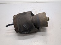 37126750356, 6750356 Пневмоподушка BMW X5 E53 2000-2006 21161162 #1