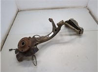  Ступица (кулак, цапфа) Audi A4 (B5) 1994-2000 21161970 #1
