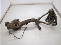  Ступица (кулак, цапфа) Audi A4 (B5) 1994-2000 21161970 #5