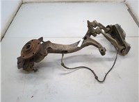  Ступица (кулак, цапфа) Audi A4 (B5) 1994-2000 21161988 #1