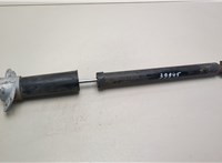  Амортизатор подвески Audi A3 (8L) 1996-2003 21161995 #1