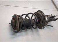 Амортизатор подвески Toyota Avensis 3 2008-2018 21164932 #3