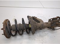  Амортизатор подвески Honda CR-V 2001-2006 21167975 #1
