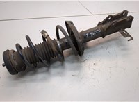 13337807 Амортизатор подвески Chevrolet Cruze 2009-2015 21168059 #1
