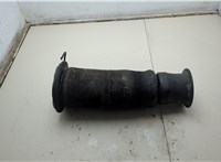  Пневмоподушка Land Rover Range Rover 2 1994-2002 21169694 #1