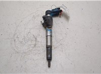 1660000Q1F, 8200704191 Форсунка топливная Nissan Qashqai 2006-2013 21172084 #9