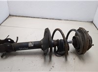  Амортизатор подвески Nissan X-Trail (T30) 2001-2007 21172780 #1