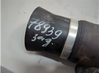  Пневмоподушка Audi TT (8N) 1998-2006 21179460 #4