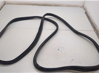  Уплотнитель Hyundai Staria US4 21185015 #1