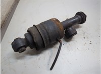 E62111LA7A Амортизатор подвески Infiniti QX56 2010-2013 21191597 #4