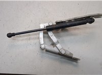 41617210669, 7210669, 51237070670, 7070670 Петля капота BMW 6 E63 2003-2010 21191961 #1