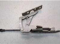 41617210669, 7210669, 51237070670, 7070670 Петля капота BMW 6 E63 2003-2010 21191961 #2