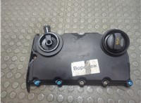  Крышка клапанная ДВС Audi A6 (C6) 2004-2011 21203404 #1