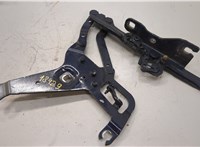 41007381781, 7381781 Петля капота BMW X5 F15 2013-2018 21212519 #1