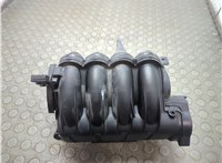  Коллектор впускной Peugeot 307 2001-2008 21214254 #1