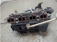  Коллектор впускной Opel Meriva 2003-2010 21214361 #5