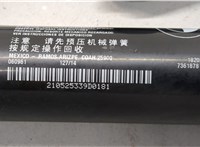 51247294470, 7294470 Амортизатор крышки багажника BMW X5 F15 2013-2018 21215498 #4
