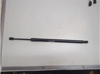 9L7Z78406A11A Амортизатор крышки багажника Lincoln Navigator 2006-2014 21215662 #1