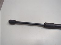 9L7Z78406A11A Амортизатор крышки багажника Lincoln Navigator 2006-2014 21215662 #3