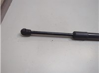  Амортизатор крышки багажника Lincoln Navigator 2006-2014 21215665 #3