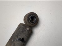  Амортизатор подвески Suzuki Wagon R Plus 2000-2008 21217109 #3