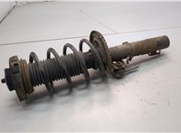  Амортизатор подвески Skoda Fabia 1999-2007 21217956 #1