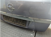  Двигатель стеклоочистителя (моторчик дворников) задний Opel Astra H 2004-2010 11835096 #9