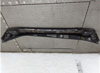 668625NA0B Жабо под дворники (дождевик) Infiniti QX50 2017-2025 21221264 #2