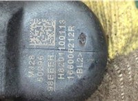 166006212R, 166006526R Форсунка топливная Renault Megane 3 2009-2016 21223089 #2