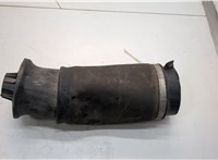 A1663200325 Пневмоподушка Mercedes GL X164 2006-2012 21224077 #1