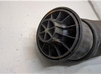 A1663200325 Пневмоподушка Mercedes GL X164 2006-2012 21224077 #2