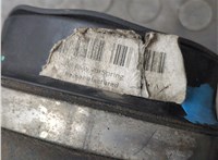 A1663200325 Пневмоподушка Mercedes GL X164 2006-2012 21224077 #7
