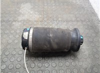 A1663200325 Пневмоподушка Mercedes GL X164 2006-2012 21224077 #8