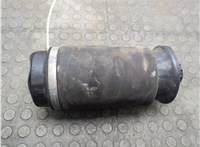 A1663200325 Пневмоподушка Mercedes GL X164 2006-2012 21224077 #9