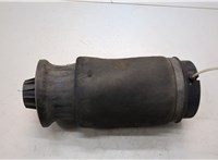 A1663200325 Пневмоподушка Mercedes GL X164 2006-2012 21224081 #1