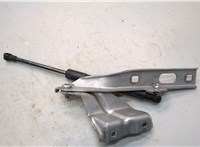  Петля капота Audi Q5 2008-2017 21224282 #3