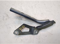  Петля капота Volkswagen Tiguan 2016-2021 21224294 #1